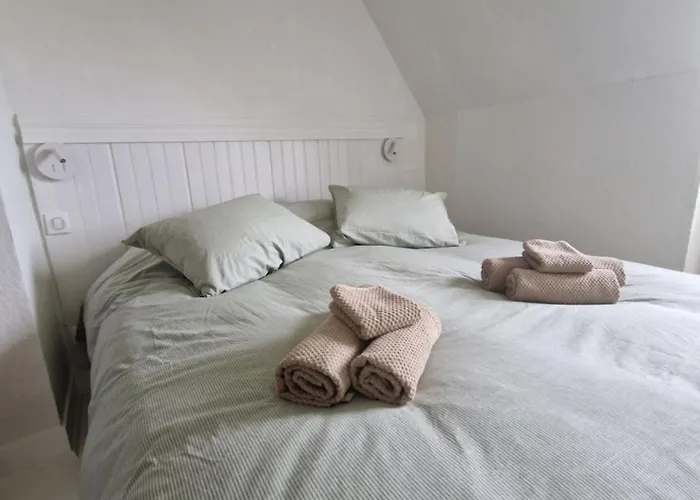 Chaumiere Historique A 5min De La *